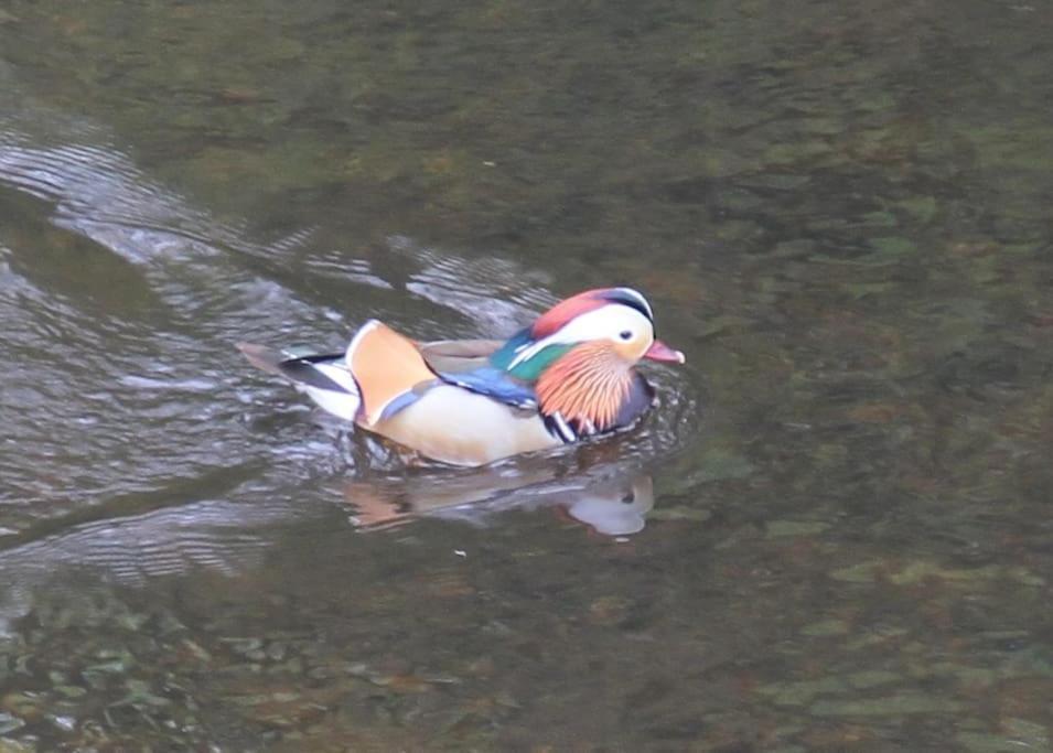 נארסבורו Riverside מראה חיצוני תמונה