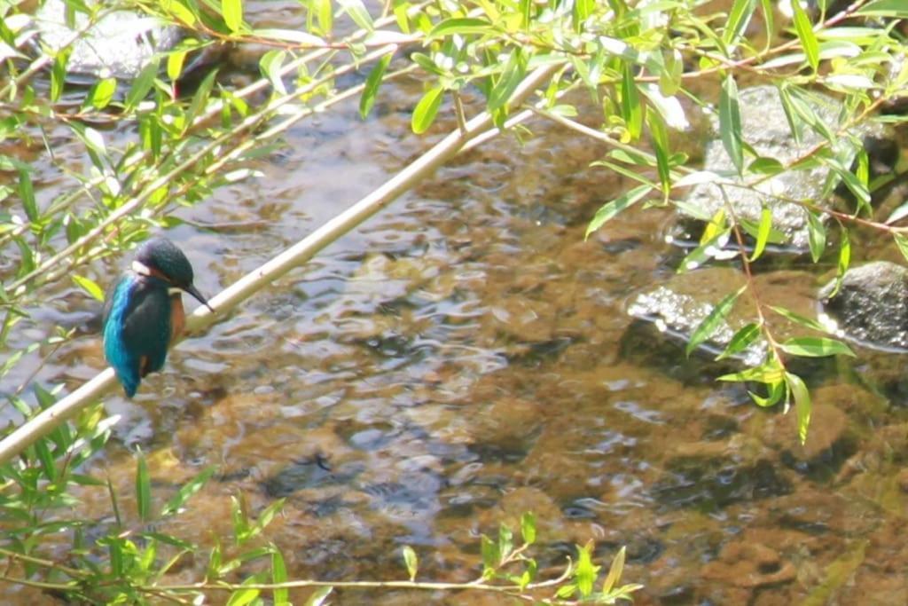 נארסבורו Riverside מראה חיצוני תמונה